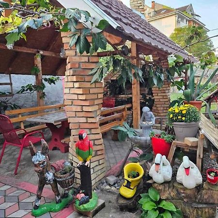 Apartman Centar Srbobran Kültér fotó